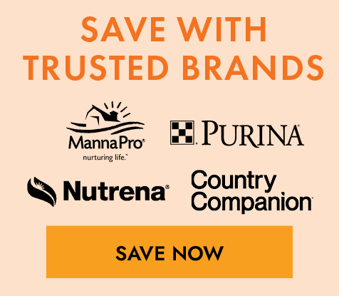 Save With Trusted Brands