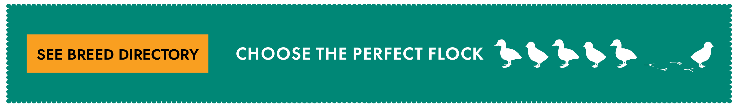 See Breed Directory Button Choose The Perfect Flock