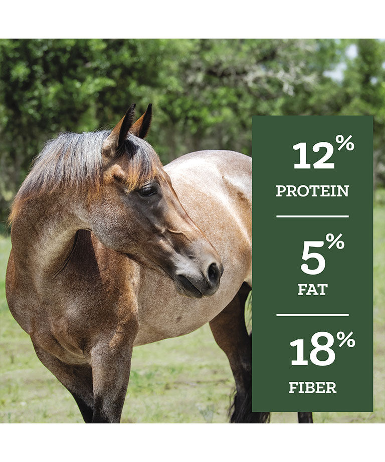 SafeChoice Maintenance, 50-Lb