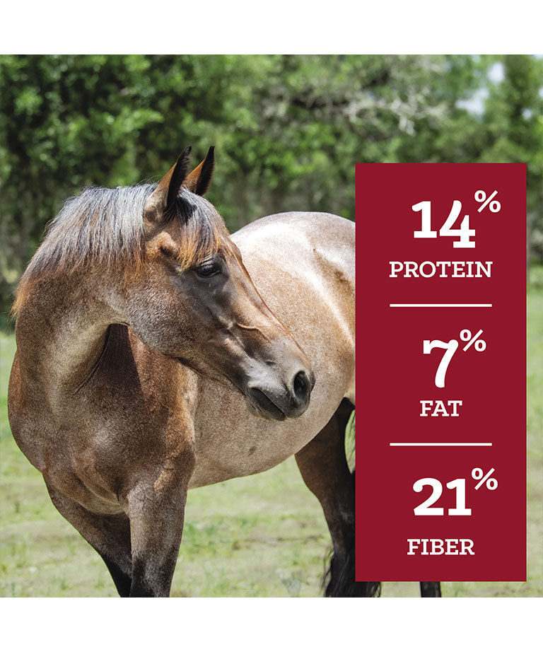 SafeChoice Special Care, 50-Lb