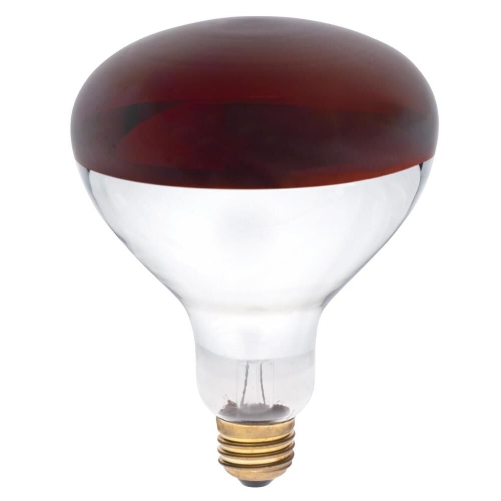 250 Watt Red Splatter Resistant Heat Bulb 2 Pack