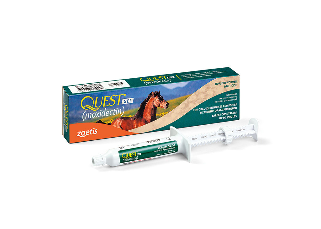 QUEST® Plus Horse Dewormer Gel