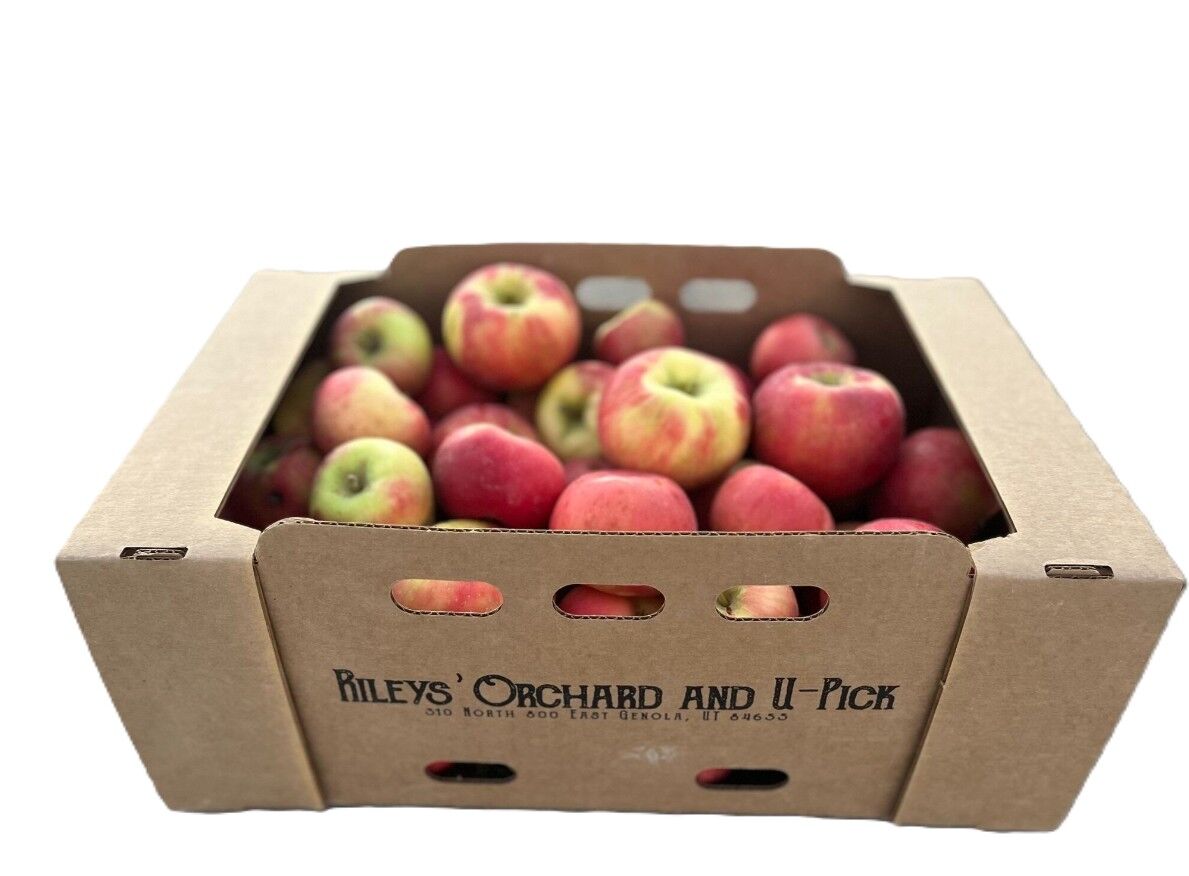 Rileys' Orchard Gala Apples, 18-lb Box