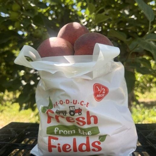 Rileys' Orchard Yellow Freestone Peach Variety, 5-lb Bag Fresh