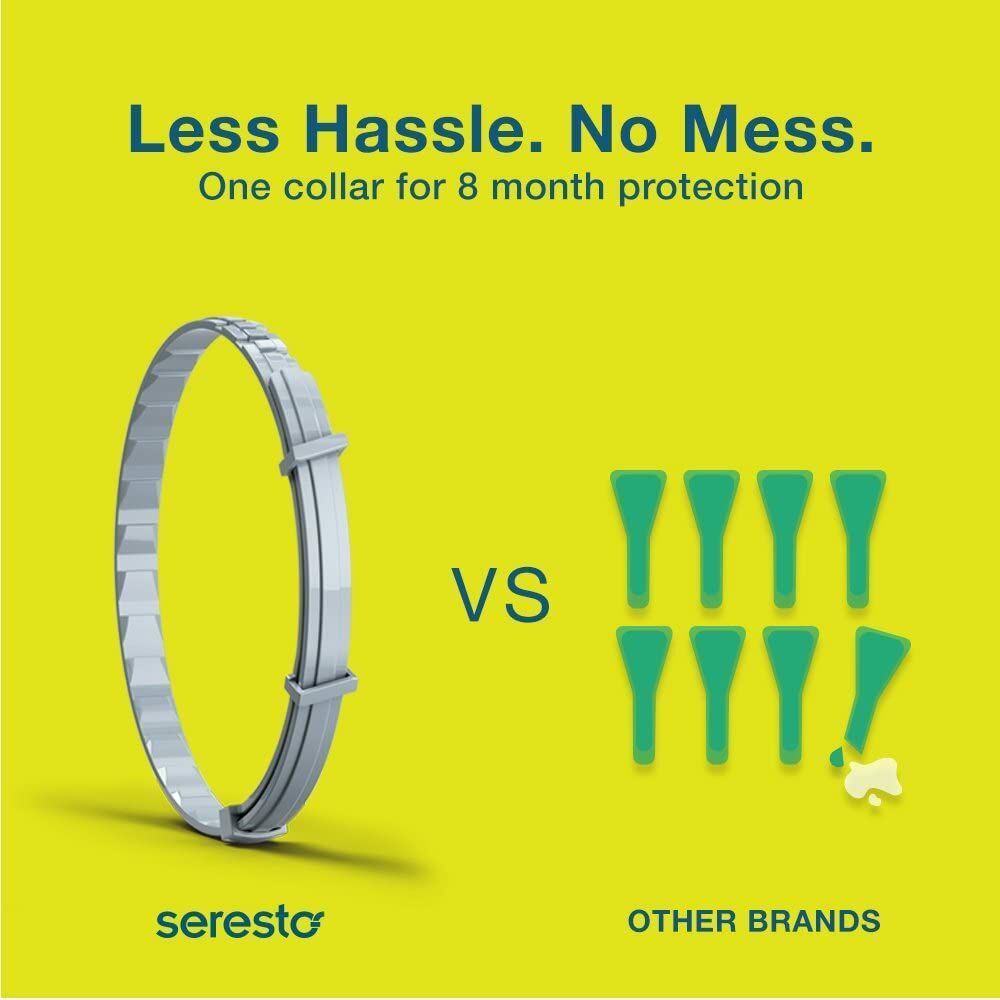 Seresto Flea & Tick Collar for Small Dogs up to 18 lbs