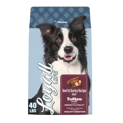 Loyall Life Beef Barley Recipe Adult Dog Food, 40-Lb Food