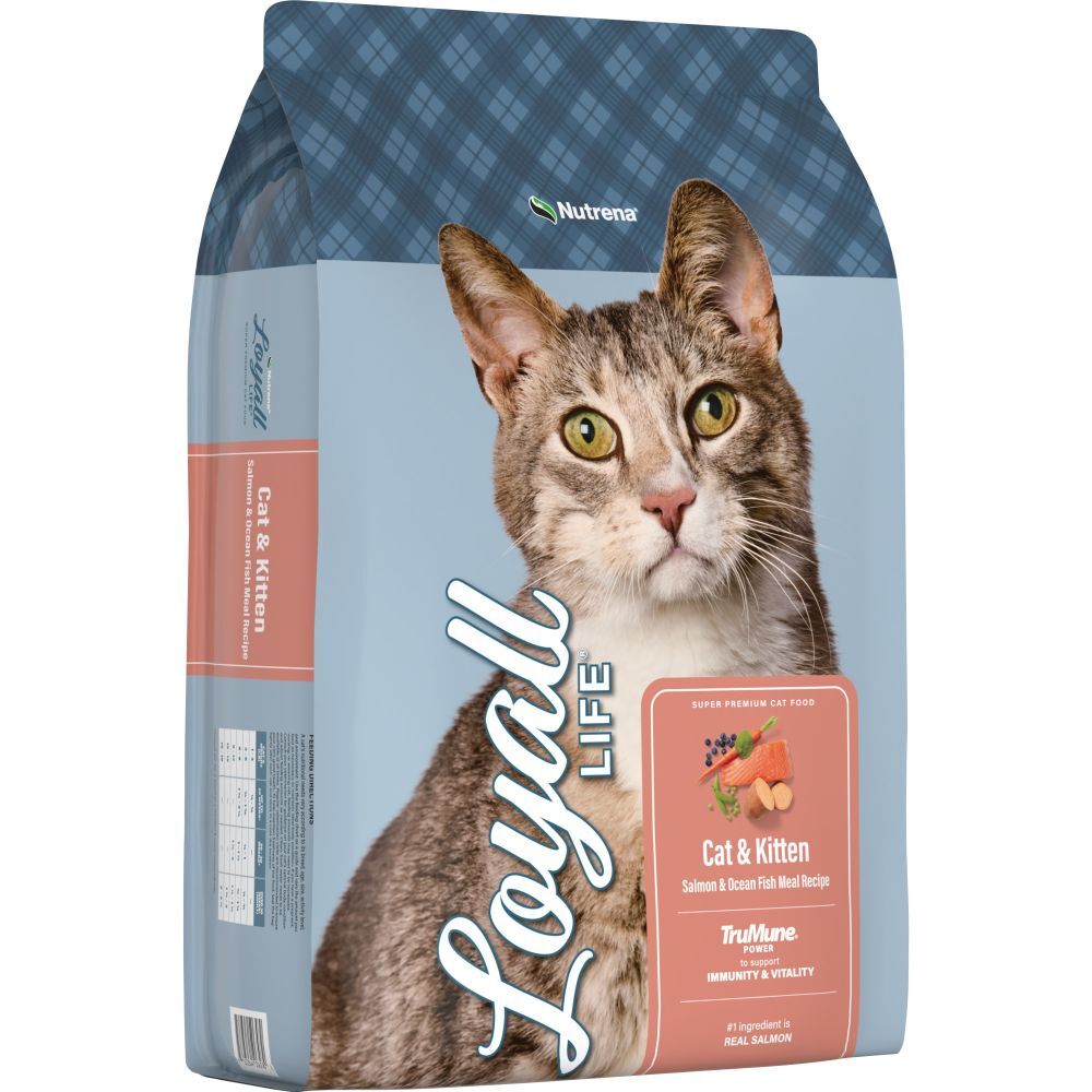 Nutrena Loyall Life Cat & Kitten Salmon & Ocean Fish Cat Food, 6-Lb