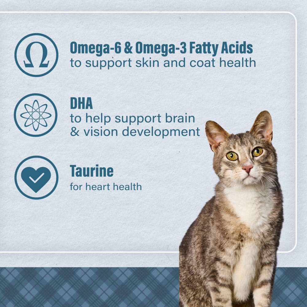 Nutrena Loyall Life Cat & Kitten Salmon & Ocean Fish Cat Food, 6-Lb