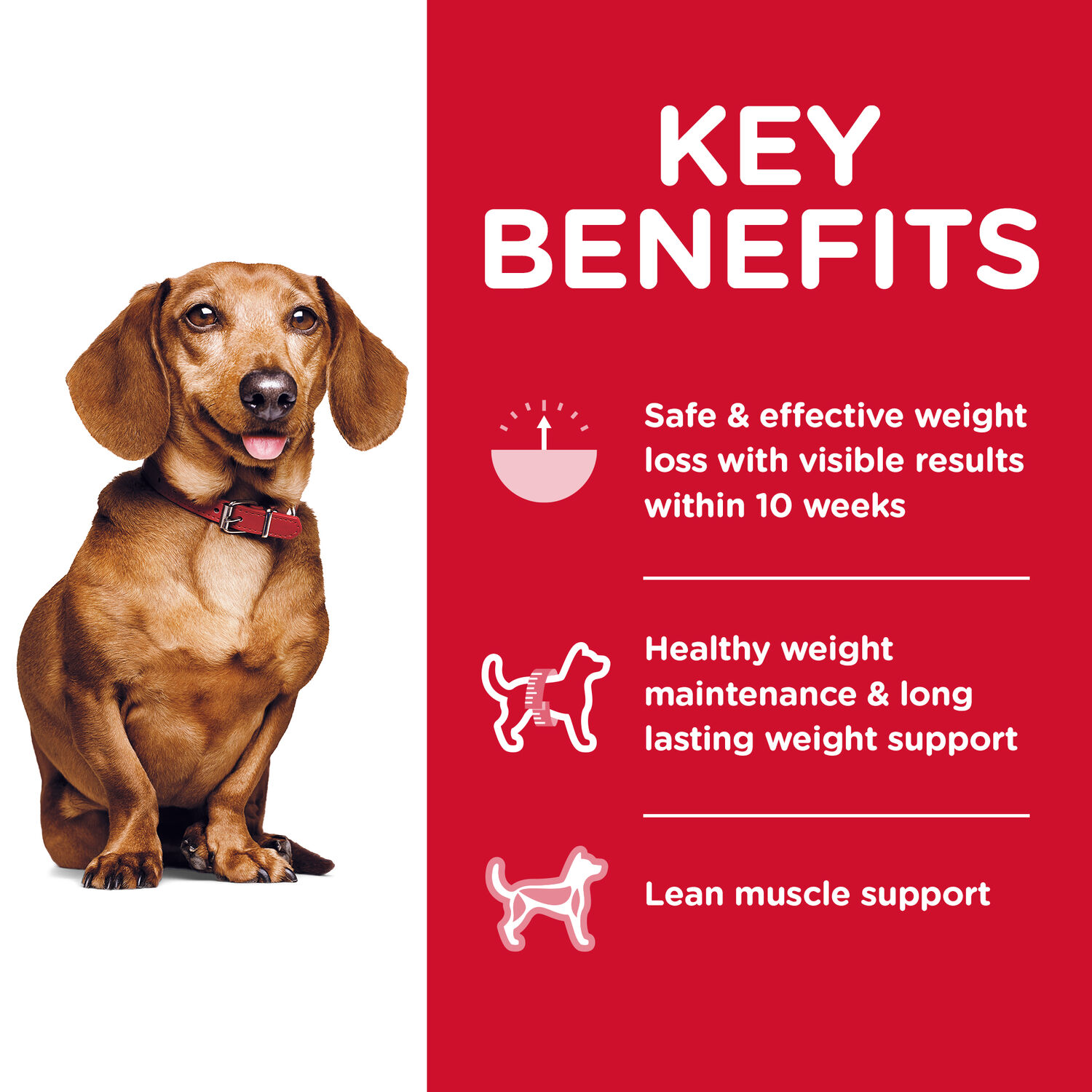 Hill's Science Diet Adult Perfect Weight Small & Mini Chicken Recipe Dry Dog Food, 4-Lb Bag