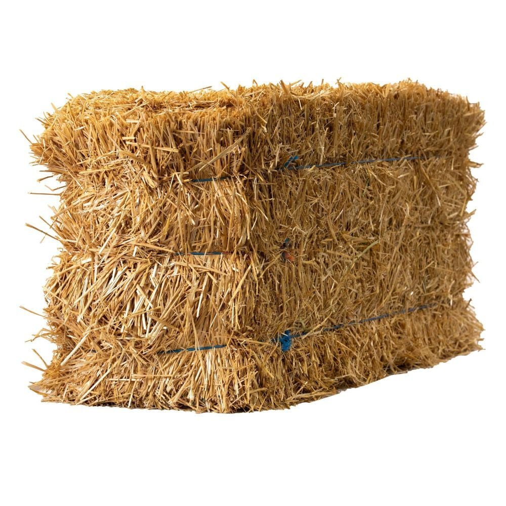 Anderson Hay 3-Tie Certified Wheat Straw Bale, 90 lb.