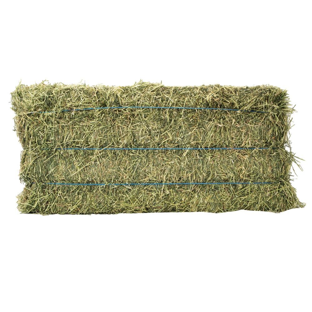 Anderson Hay 3-Tie Alfalfa Hay Bale, 90-Lb