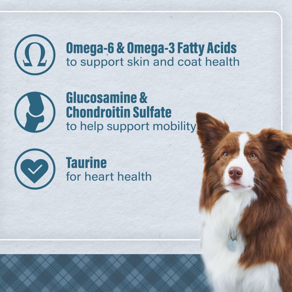 Loyall Life Chicken & Brown Rice Recipe All Life Stages Dog Food, 40-Lb