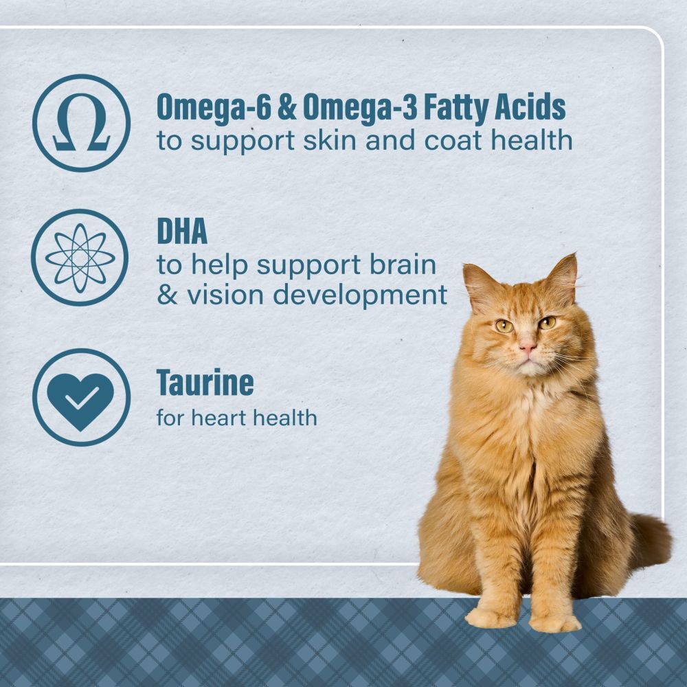 Loyall Life Cat & Kitten Chicken Recipe, 6-Lb