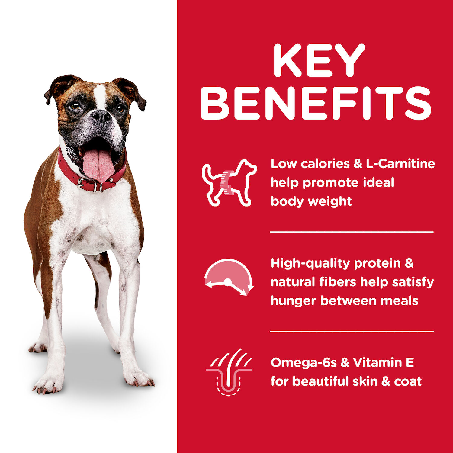 Hill's Science Diet Adult Light with Chicken Meal & Barley Dry Dog Food, 30-Lb Bag