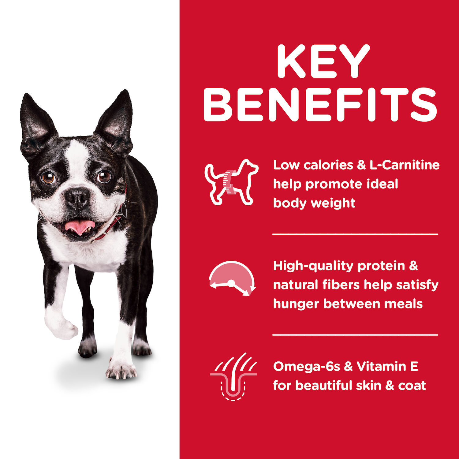 Hill's Science Diet Adult Light Small Bites with Chicken Meal & Barley Dry Dog Food, 30-Lb Bag