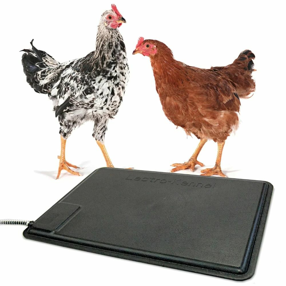 Thermo-Chicken Heated Pad™
