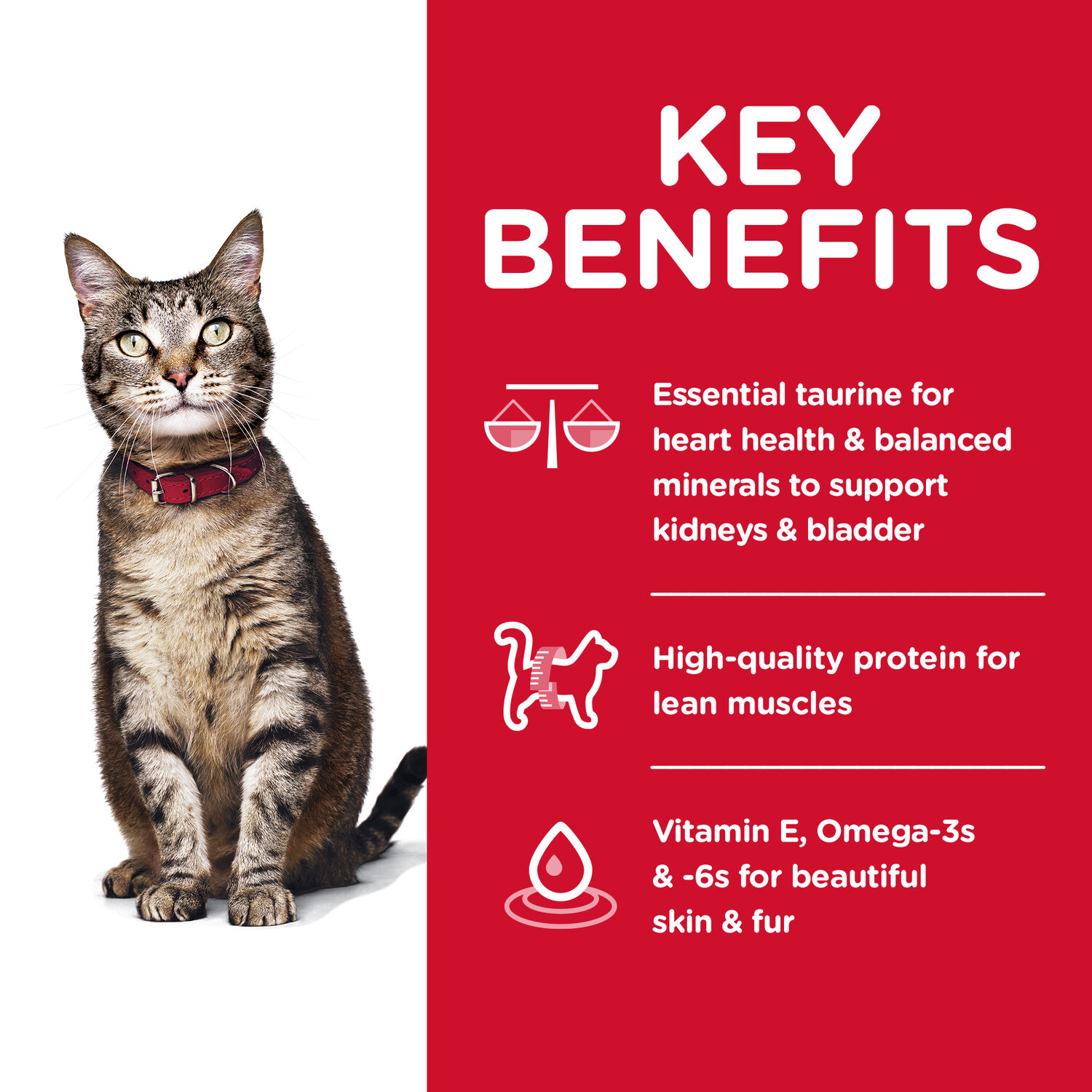 Hill's® Science Diet® Chicken Recipe Adult Dry Cat Food, 4-Lb