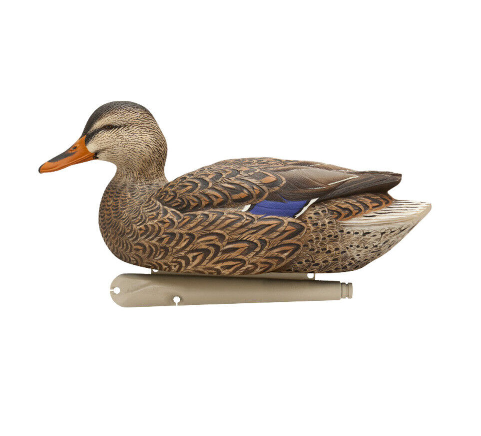 Avian X Topflight Fusion Mallards