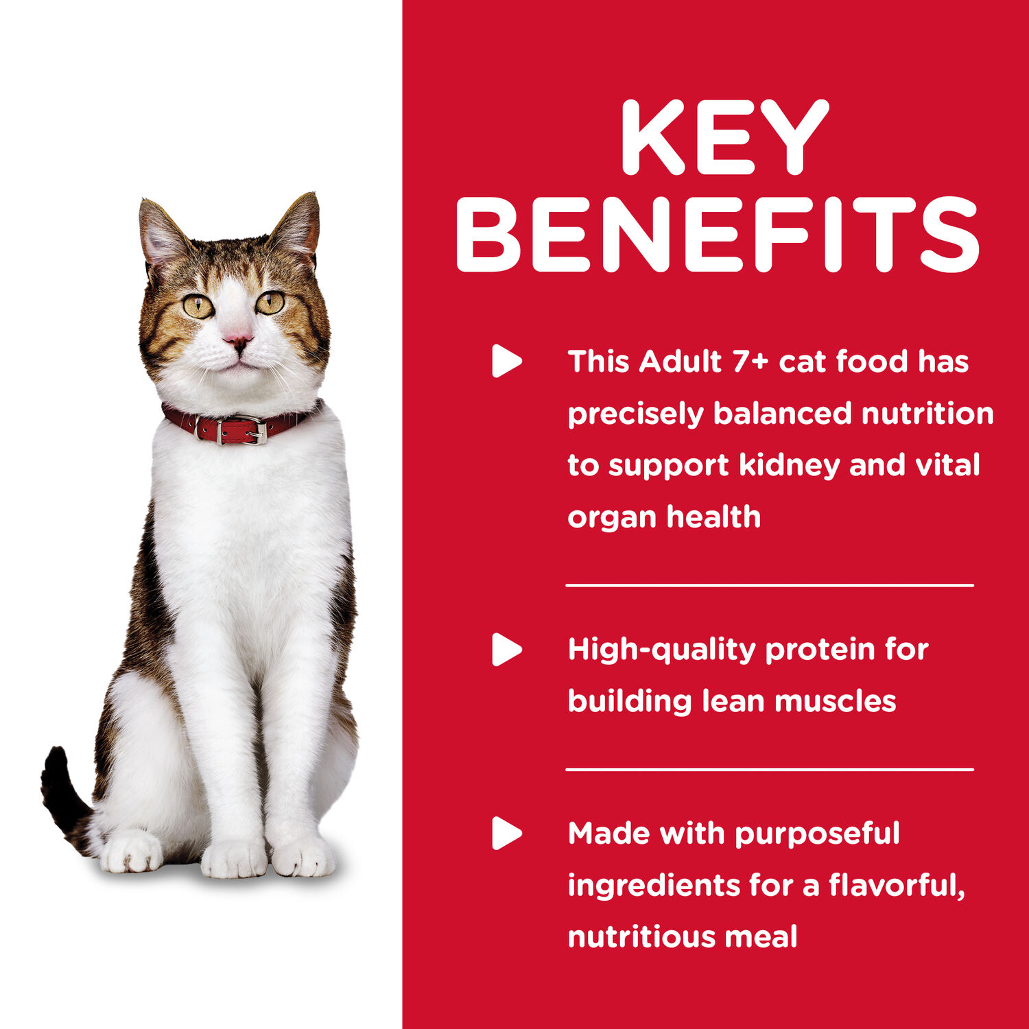 Hill's Science Diet Senior 7+ Savory Beef Entrée Wet Cat Food, 5.5-Oz Can