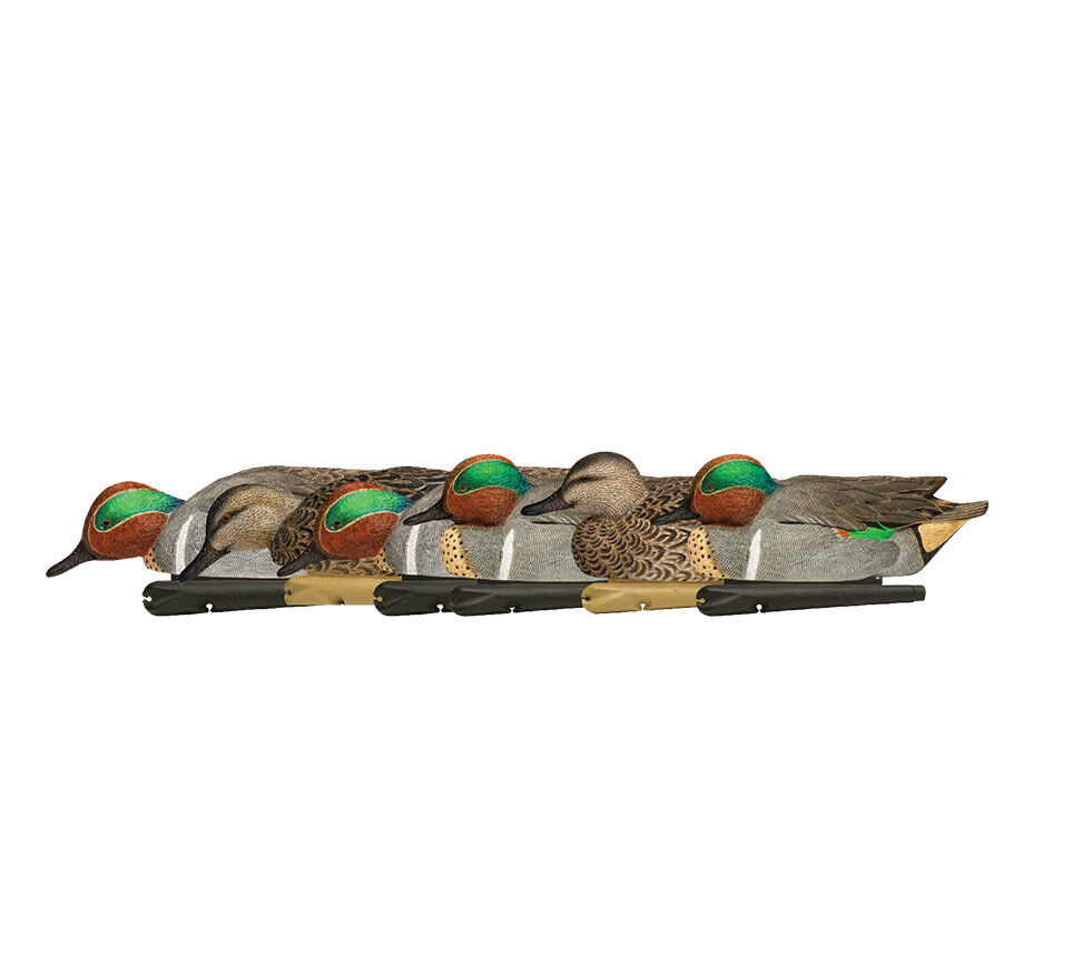 Avian-X Topflight Green-Winged Teal Decoys, 6-Pk