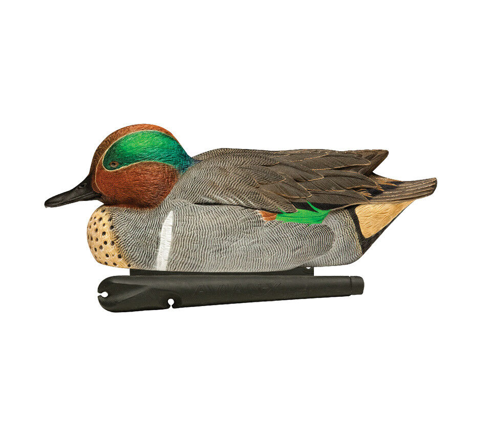 Avian-X Topflight Green-Winged Teal Decoys, 6-Pk
