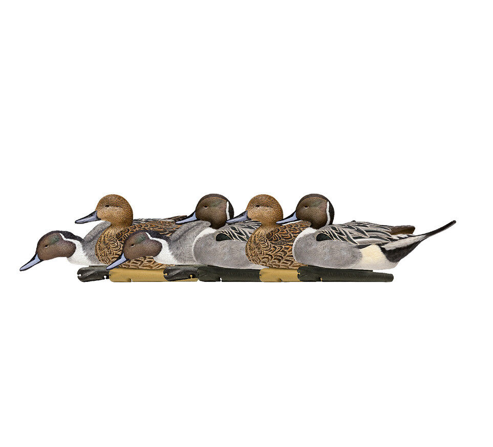 Avian-X Topflight Pintails Decoys