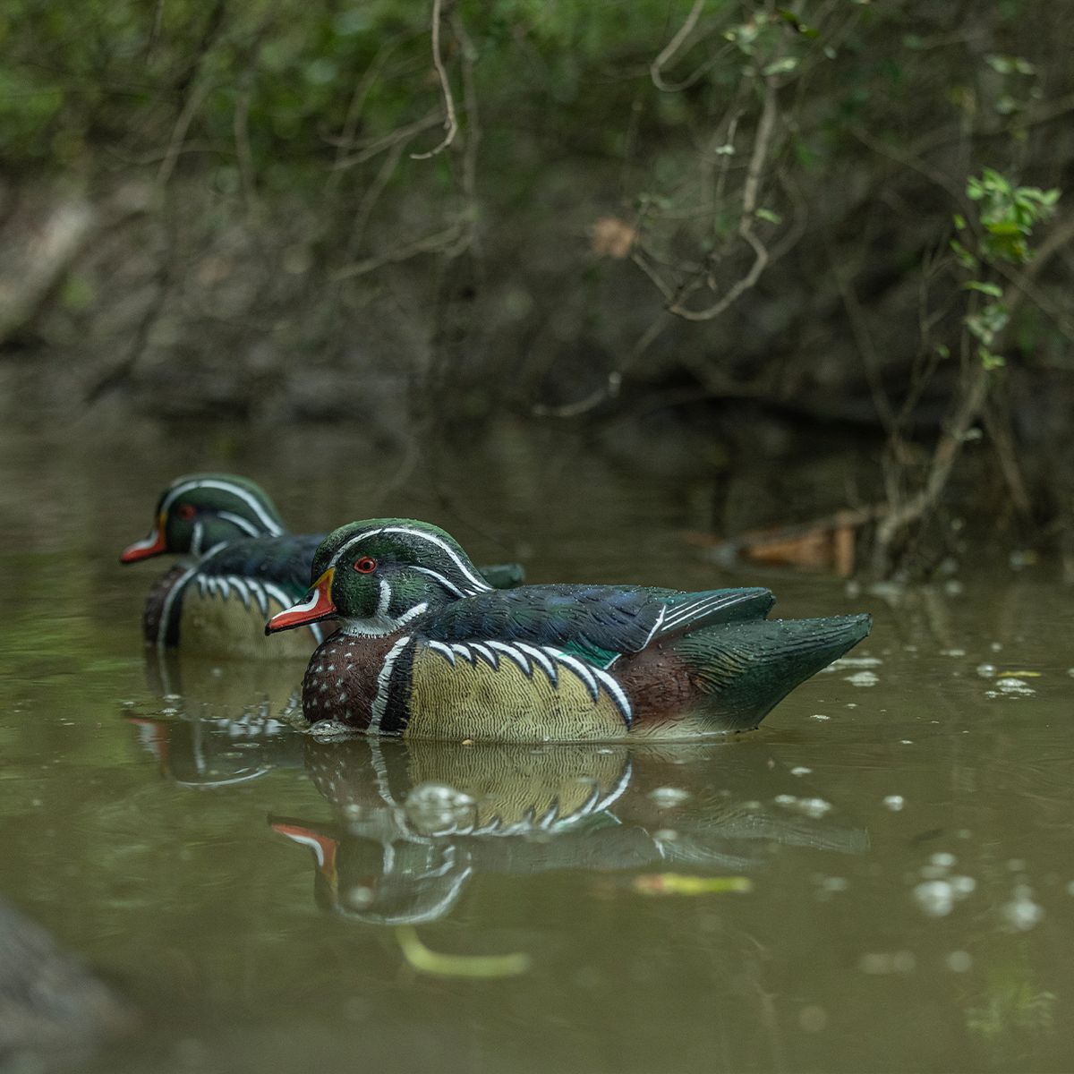 Avian-X Topflight Wood Ducks, 6-Pk