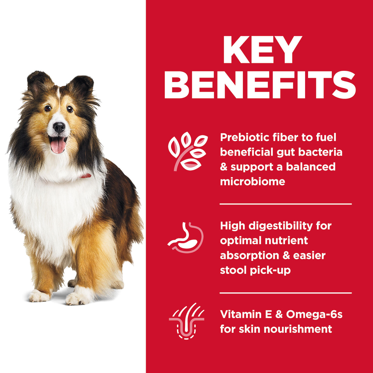 Hill's Science Diet Adult Sensitive Stomach & Skin Chicken Recipe Dry Dog Food, 15.5-Lb Bag