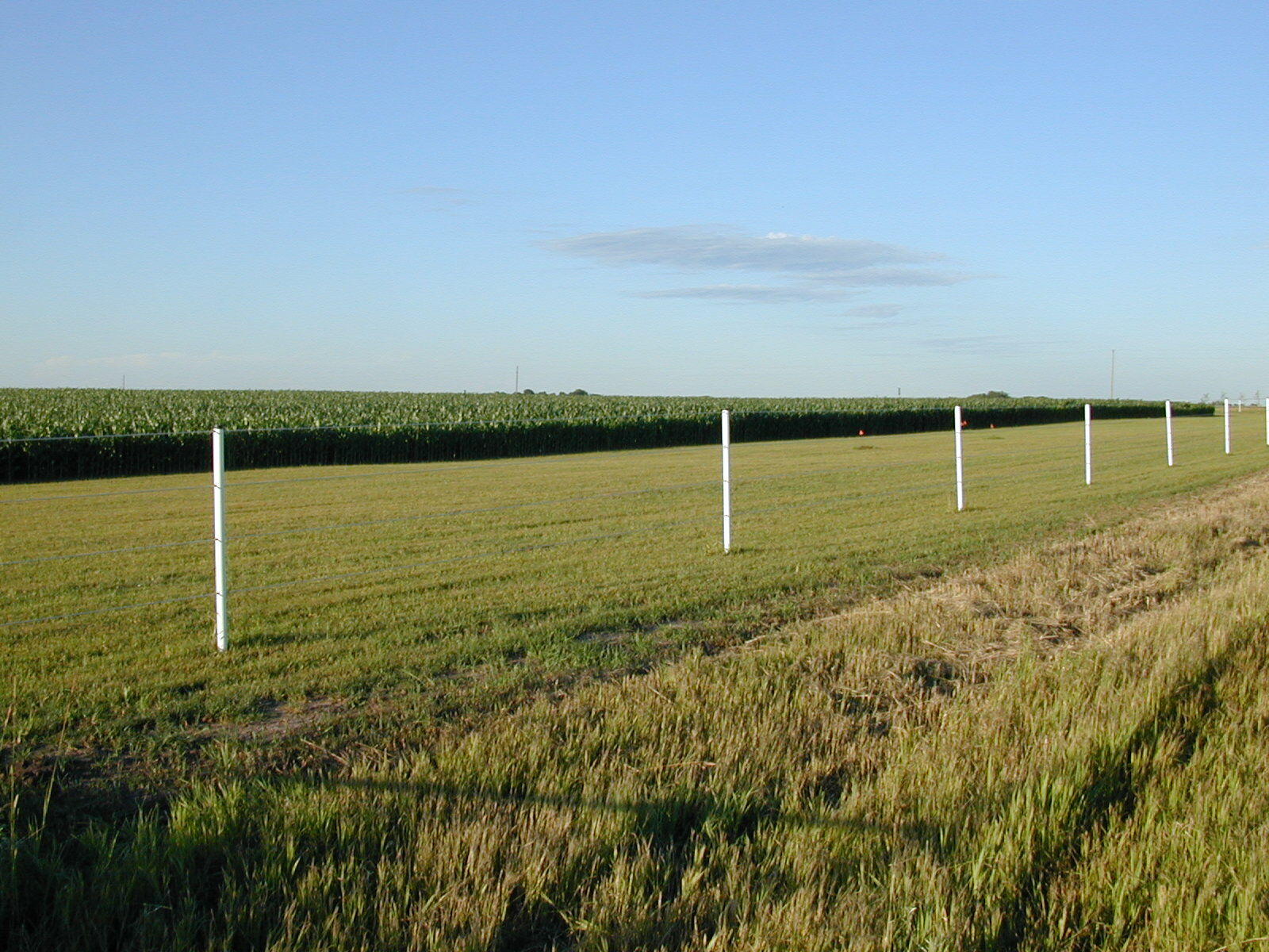 Fiberglass Fence Posts, 3/8-In x 4-Ft