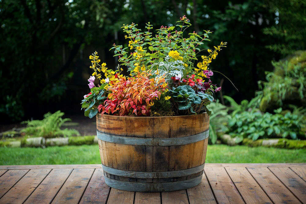 Half Oak Barrel Planter, 26-In x 18-In x 26-In