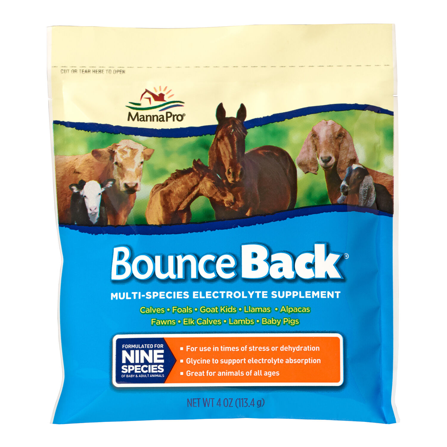 Bounce Back Multi Species Electrolyte Supplement, 4-Oz Packet