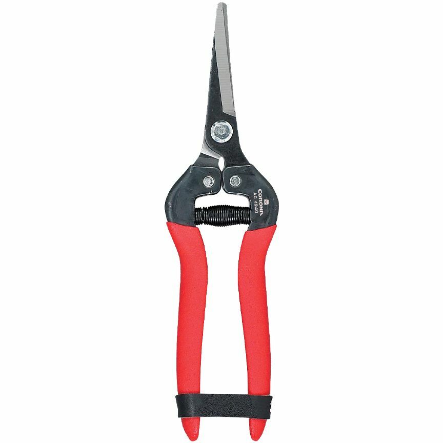 Tempered Steel Long Curved Snip