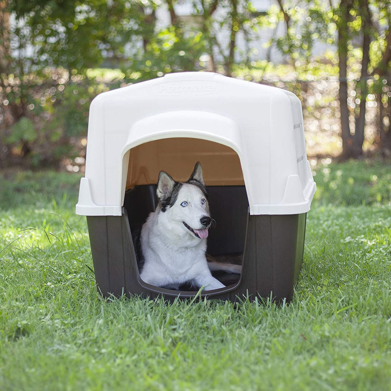 Aspen Pet Petbarn 3 Dog House in Sand