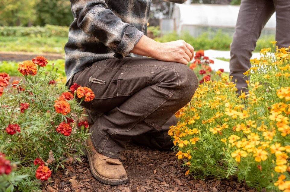 Dovetail Workwear Women's Day Construct Stretch Duck Canvas Pant