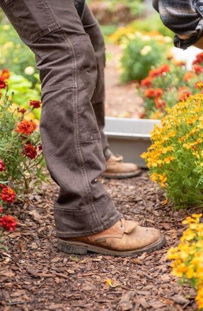 Dovetail Workwear Women's Day Construct Stretch Duck Canvas Pant