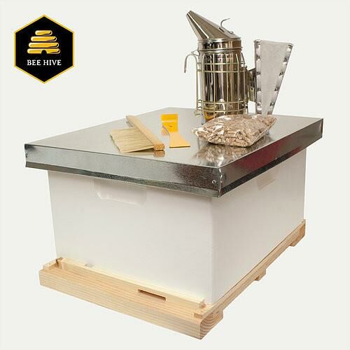 Small Backyard Beekeeping Set with Accessories