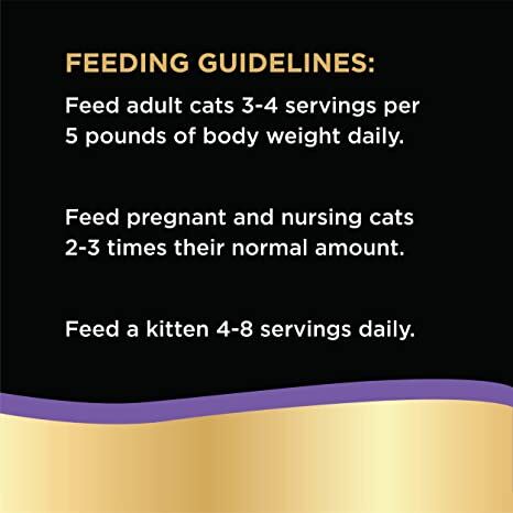Sheba® Premium Paté Delicate Salmon Entrée Wet Cat Food, 2.6-Oz
