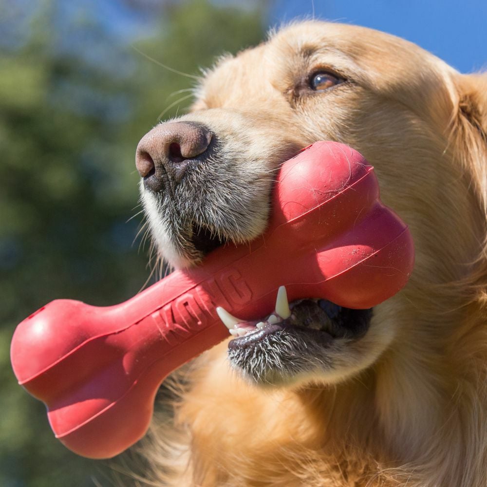 Medium Goodie Bone™ Dog Toy
