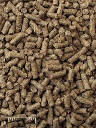 Mazuri Active Adult Mini Pig, 25-Lb