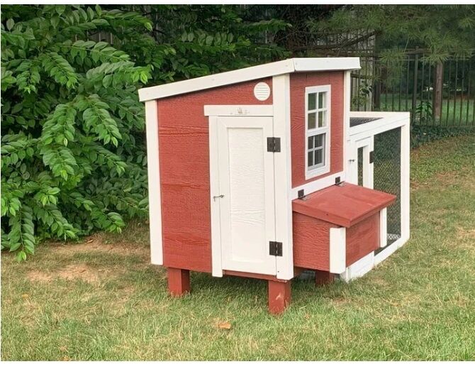 American Model Coop in a Box, 5 Chickens