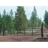 8-Ft x 52-In Heavy Duty Classic Gate with Lever Latch