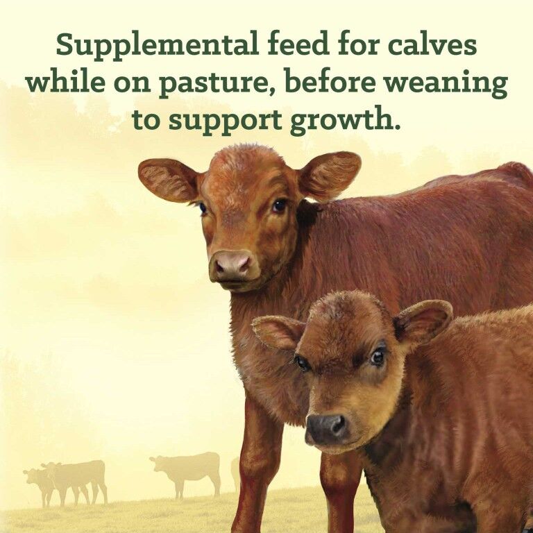 Nutrena NutreBeef Starter Creep Feed, 50-Lb