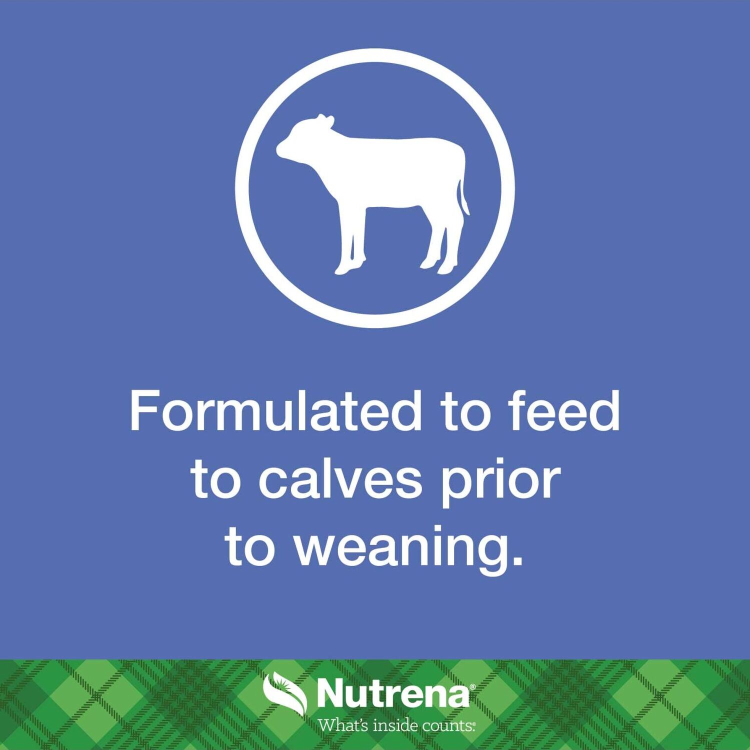 Nutrena NutreBeef Starter Creep Feed, 50-Lb