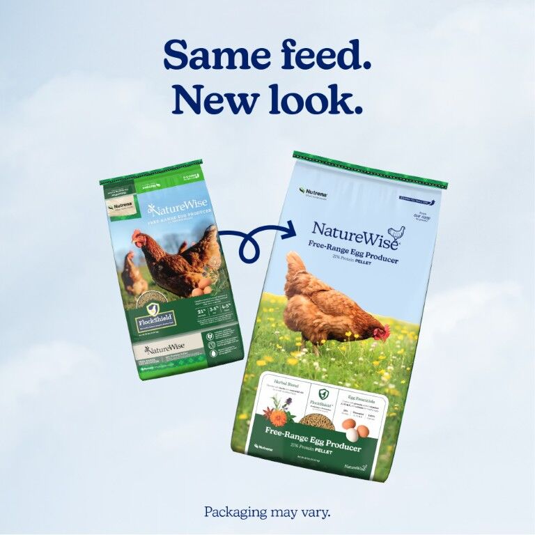 Nutrena NatureWise Free-Range Egg Producer 21% Layer Feed, 50-Lb