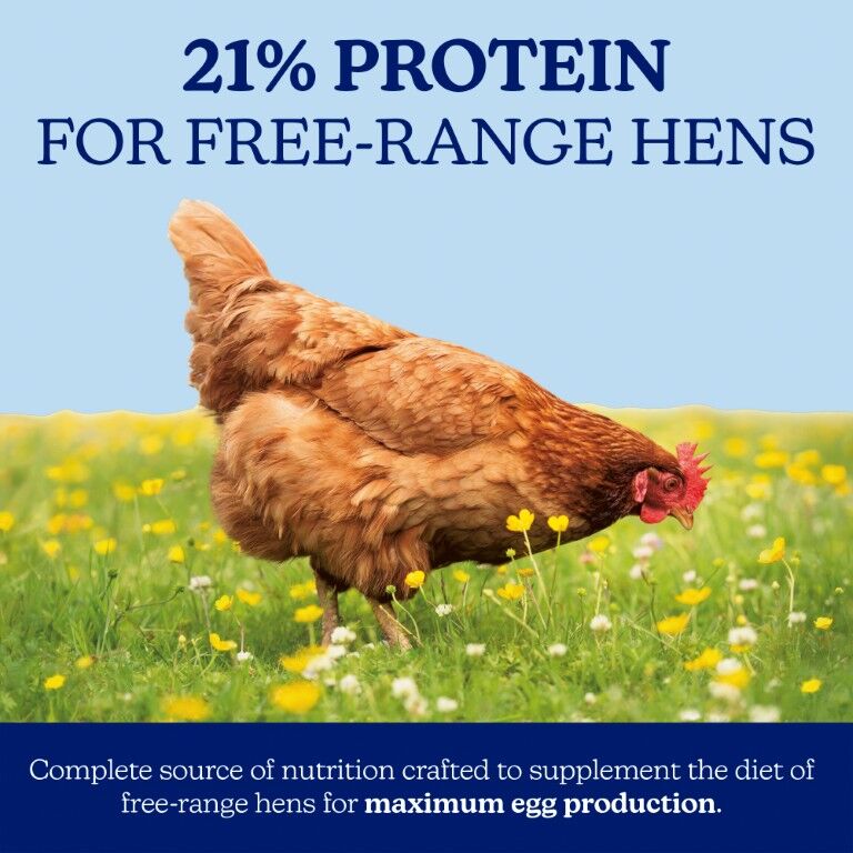 Nutrena NatureWise Free-Range Egg Producer 21% Layer Feed, 50-Lb