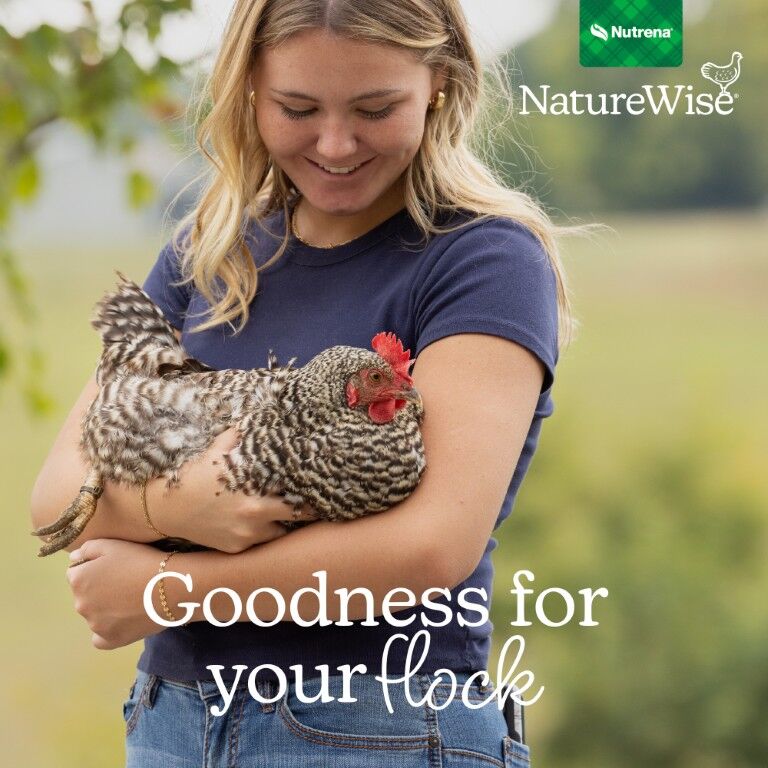 Nutrena NatureWise Free-Range Egg Producer 21% Layer Feed, 50-Lb