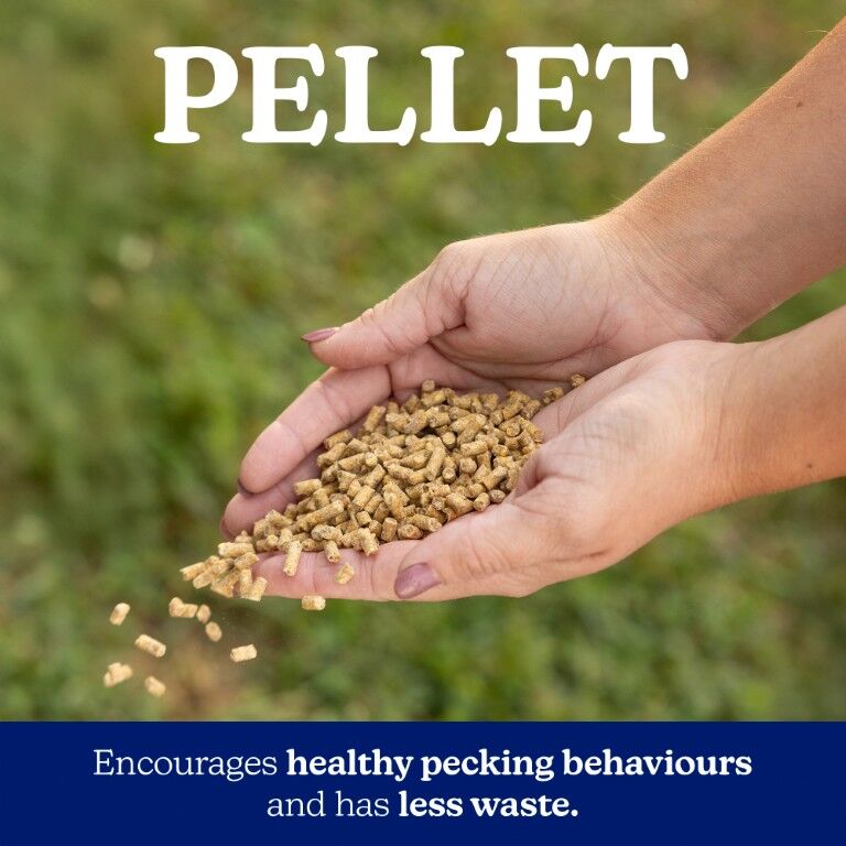 Nutrena NatureWise Free-Range Egg Producer 21% Layer Feed, 50-Lb