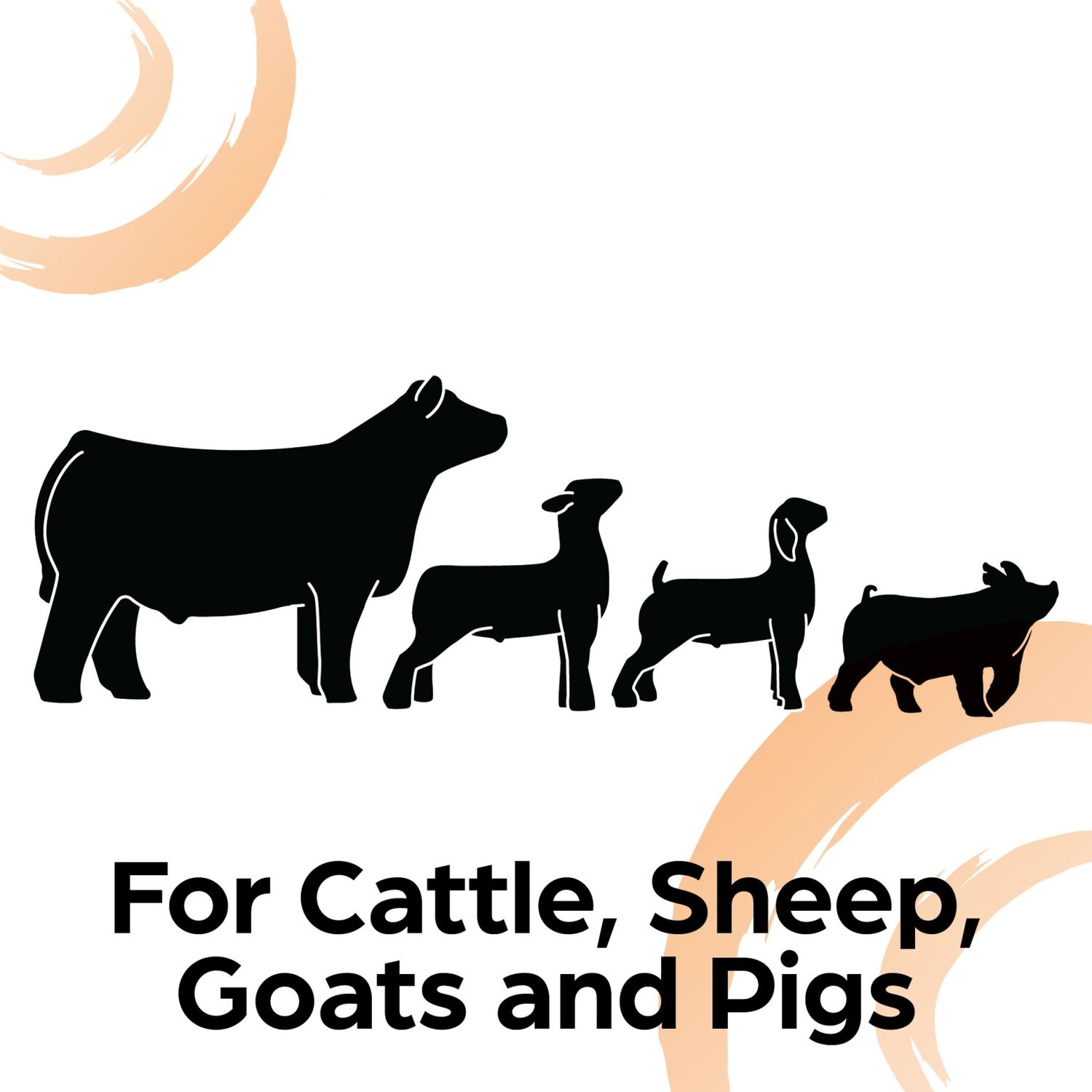 Sunglo S'more Fill Supplement, 50-Lb