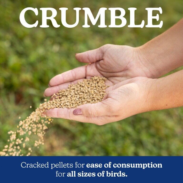 Nutrena NatureWise All Flock 20% Protein Crumble, 40-Lb