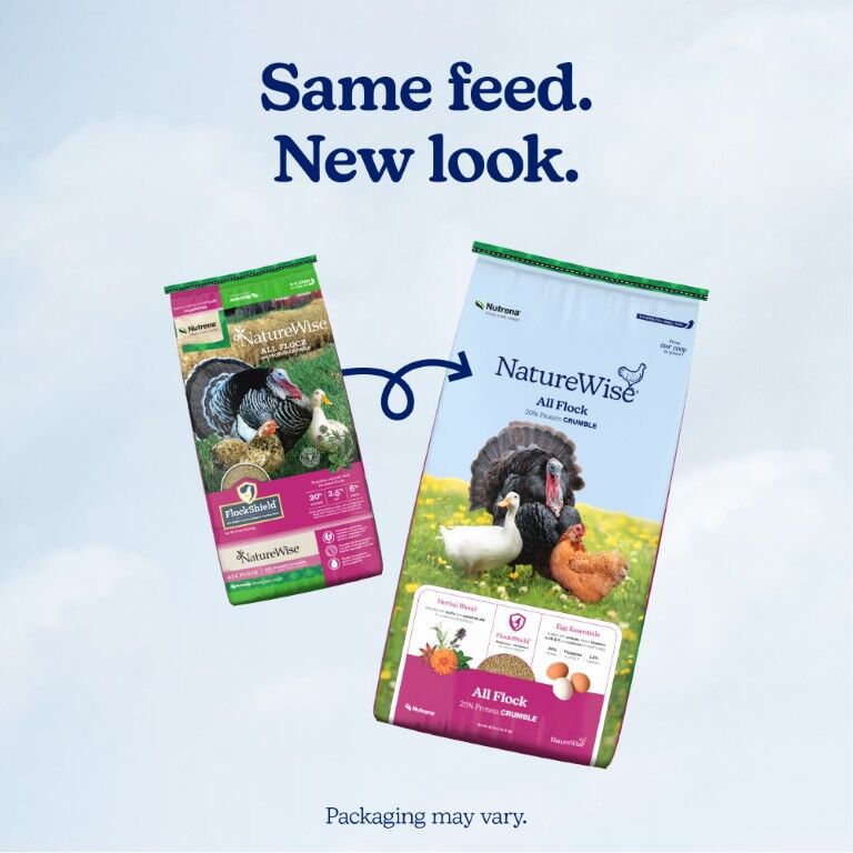 Nutrena NatureWise All Flock 20% Protein Crumble, 40-Lb